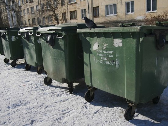  Шесть сортировочных станций и раздельный сбор: что станет с мусором в Карелии