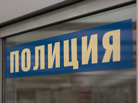 Расследованием убийства полицейского в метро Москвы займется СКР