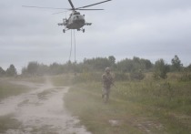 Украинские военные планируют начать наступательную операцию в Донбассе с Волновахи и Мариуполя и достигнуть границ РФ за пять суток