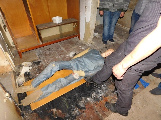 Житель Мичуринска убил свою возлюбленную и сжег ее тело из-за переписки с другим мужчиной