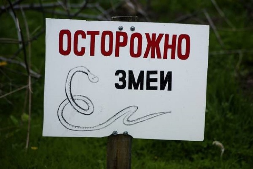 Картинка осторожно змеи