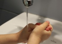 Группа исследователей из ряда европейских стран, представила доказательство, что сушилки для рук могут приводить к распространению бактерий