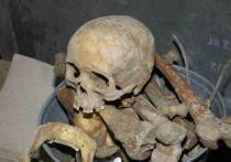 В Санкт-Петербурге недалеко от городского морга и крематория найден мешок с человеческими останками, пишет «Фонтанка