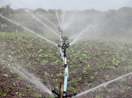 Теперь он пойдет под суд за хищение собственности государства