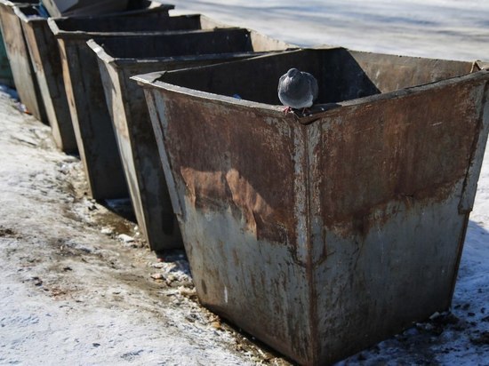 Власти муниципалитетов будут отвечать за площадки для сбора мусора