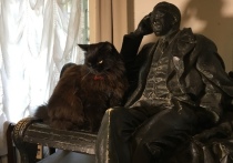 Увидеть знаменитого кота Бегемота из музея-театра «Булгаковский дом» теперь станет практически невозможно