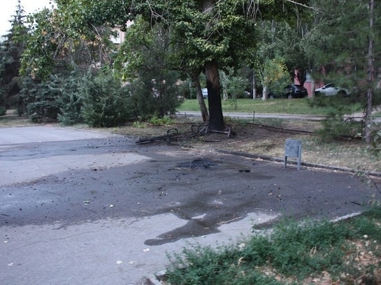 Вандалы ночью развели костер из лавочки в парке в центре Волгограда