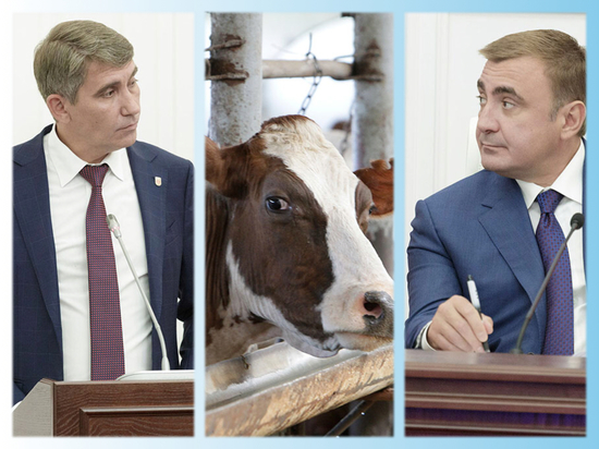 Голодными не останемся: чиновники отчитались о динамике развития животноводства в Тульской области