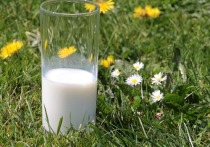 Не обезжиренные молочные продукты уменьшают риск развития сердечно-сосудистых заболеваний и преждевременной смерти, заявили канадские специалисты, представляющие Университета Макмастера