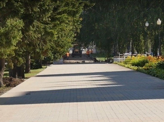 В Барнауле до конца года высадят 3729 деревьев и кустарников