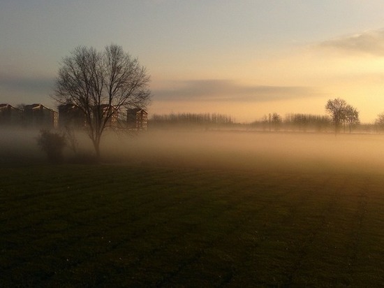 В Курской области ожидается туман