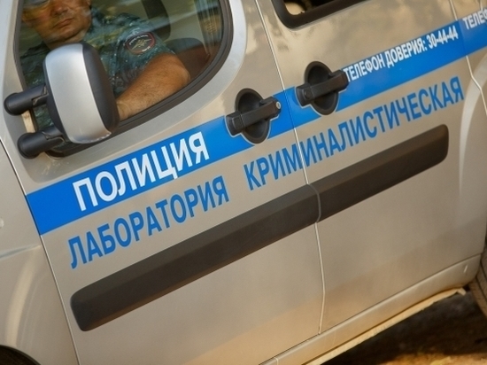 Волгоградская пенсионерка вырастила 111 кустов конопли Волгоградская пенсионерка вырастила 111 кустов конопли