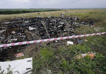 Минобороны РФ на брифинге в понедельник заявило, что была перехвачена аудиозапись украинских военных, которая доказывает их причастность к крушению "Боинга" MH17