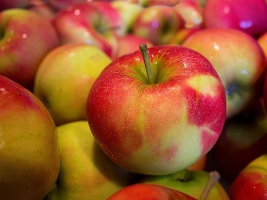 В Тамбовской области пенсионер похитил центнер яблок