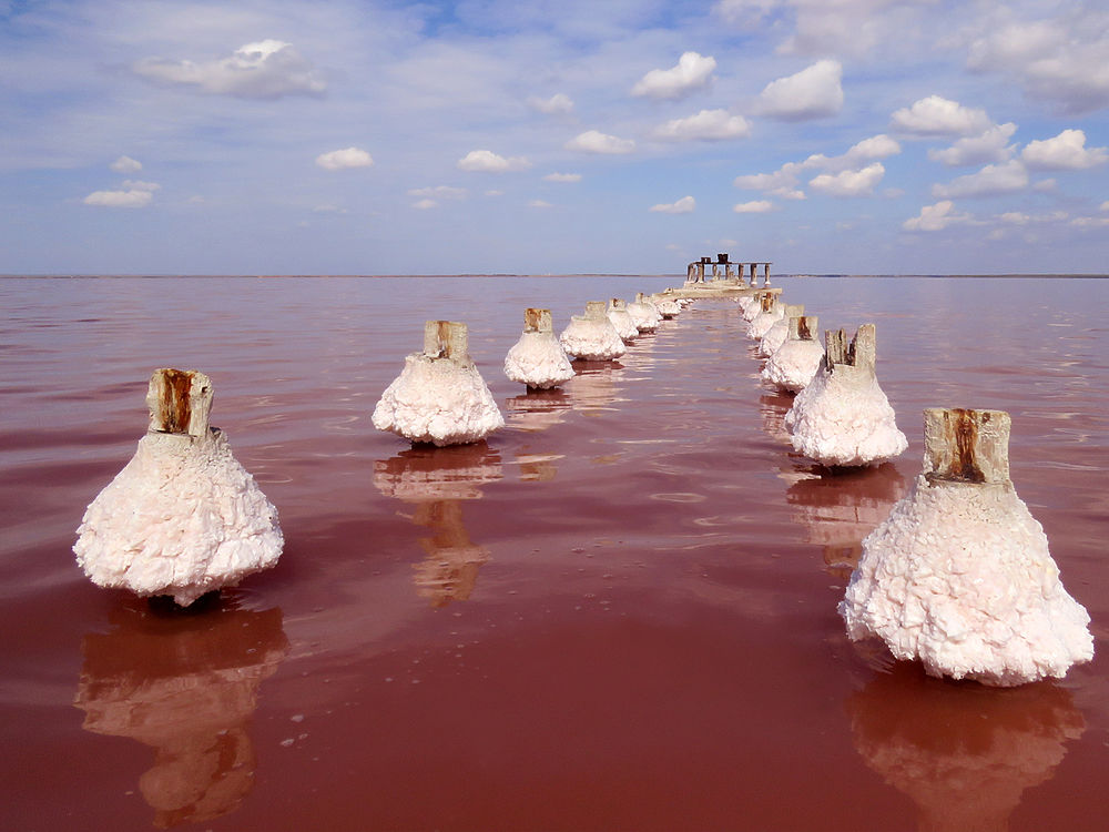 Крым великолепный: фантастические виды розового озера Сасык