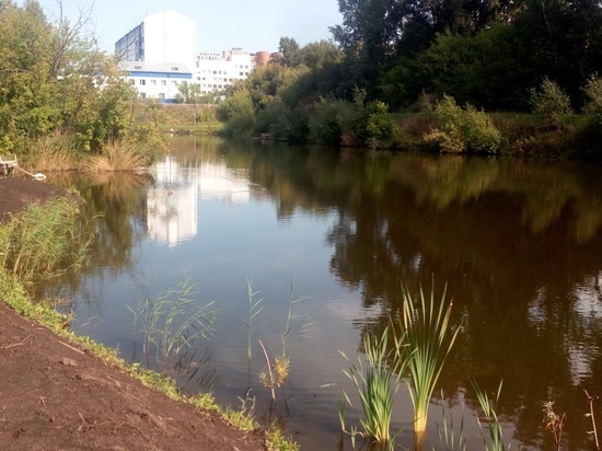 Томская прокуратура обнаружила масштабное загрязнение городских озер нечистотами