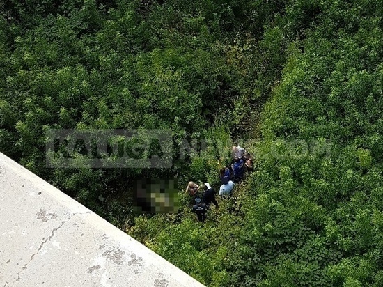 Мужчина спрыгнул с Каменного моста в Калуге