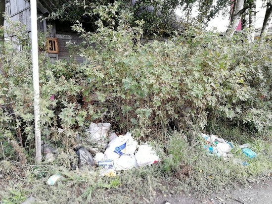 Отличное мнение: депутаты решили, что Петрозаводск не справляется с мусором