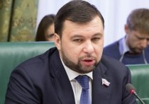 Денис Пушилин, временно исполняющие обязанности главы ДНР, публично заявил о решении выдвигать свою кандидатуру на этот высокий пост на выборах в 11 ноября