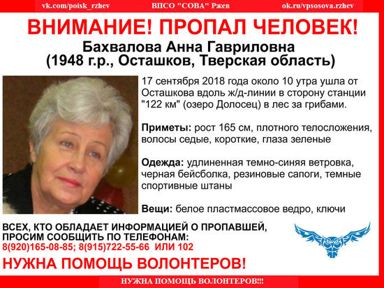 Пожилая женщина ушла за грибами в Тверской области и пропала