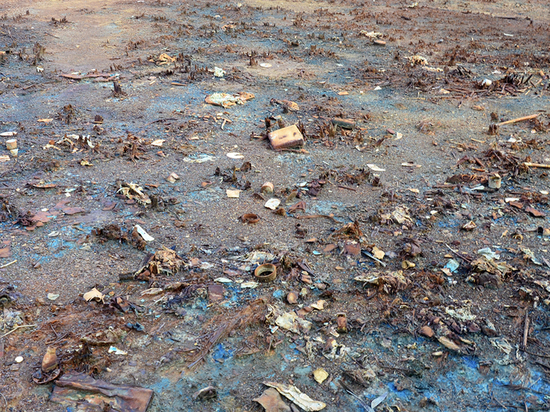 Организация по уборке улиц города оштрафована за порчу земли в Калуге