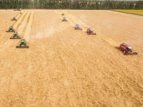 Аграрии Алтайского края намолотили более 2 миллионов тонн зерна
