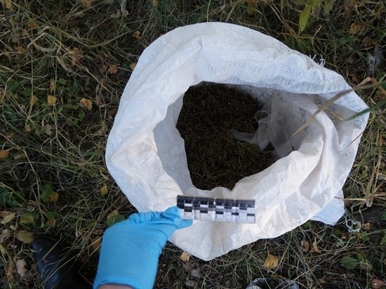 Алтайский сельчанин попался с мешком конопли