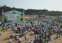 Около 300 тысяч жителей Подмосковья приняли в субботу участие в шестой по счету экологической акции «Наш лес
