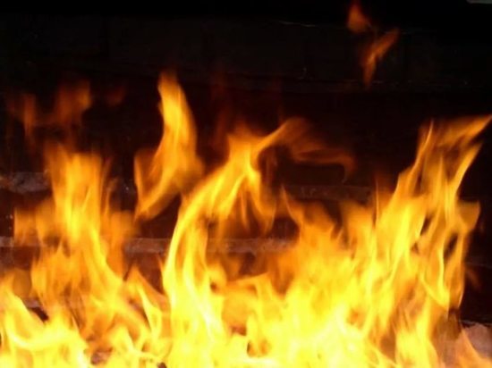 Мужчина сгорел заживо на пожаре в Тверской области