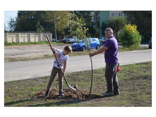 На улицах Серпухова активные горожане посадили свои деревья