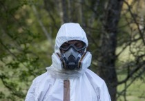 Игнорирование США международных требований по разоружению приводит к постоянным провокациям по всему миру