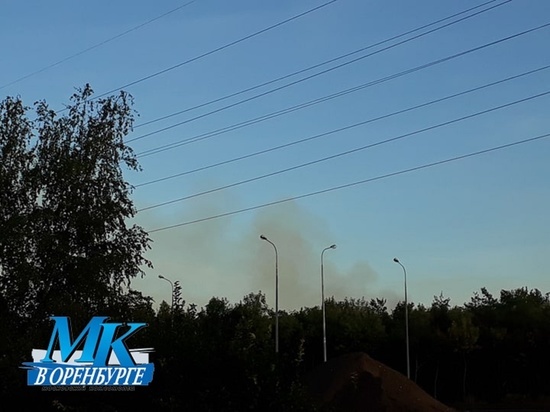   После природных пожаров в Оренбурге зафиксировали превышения ПДК в воздухе