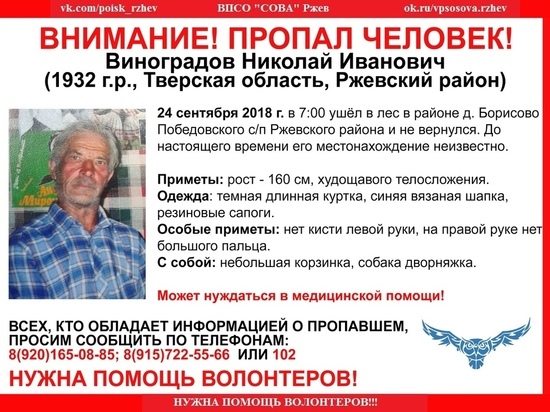 В Тверской области 86-летний дедушка с собакой не вернулись из леса