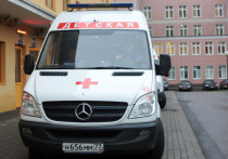 От менингококковой инфекции, по предварительным данным, умер пятилетний ребенок на юго-востоке Москвы