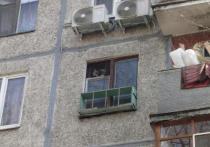 Зверинец под окном устроили предприимчивые жители микрорайона Серебрянка в подмосковном Пушкино, выставив на обозрение соседей клетки с животными