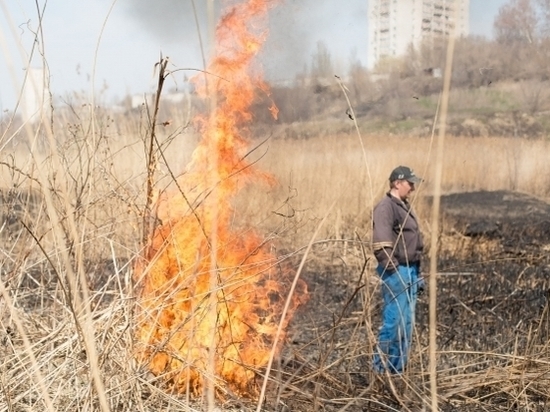 Три тонны сена в прицепе сгорело под Волгоградом