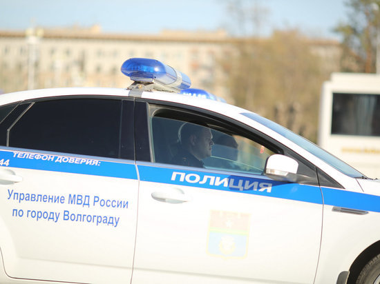 Волгоградская полиция сожгла 500 кустов конопли