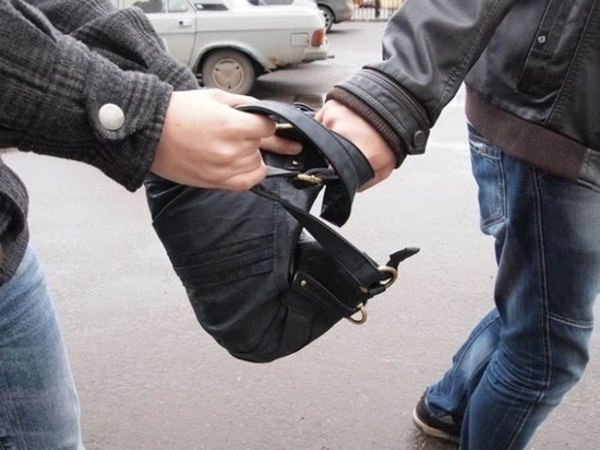 Гоп-стоп в Соломбале: среди бела дня двое уголовников отжали у прохожего рюкзак