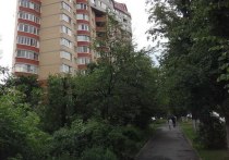 Труп школьника обнаружили на днях в сквере в подмосковном Пушкино