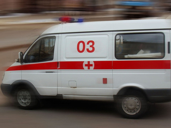 В подмосковном Пушкино с дерева сняли труп 13-летнего школьника
