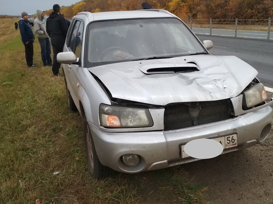 На трассе под Оренбургом водитель «Субару» насмерть сбил мужчину