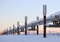 В Польше нашли оправдание строительству российского газопровода
