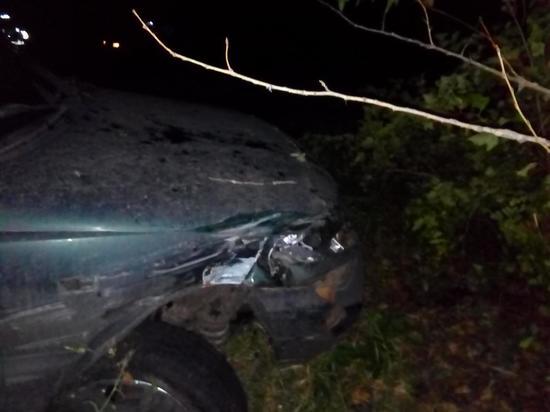 В Тамбовской области водитель "Шевроле Нива" врезался в дерево