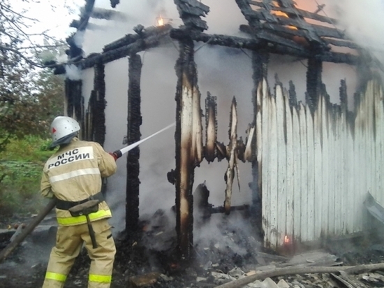 Маленькая дача сгорела в большом пожаре в Богородицке