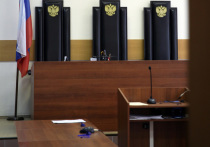 Мать-одиночка из Саратовской области Ольга Журавлева совершила преступление, которое местный суд квалифицировал как мошенничество и назначил виновнице наказание в виде 120 часов исправительных работ