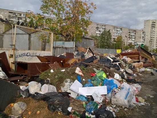 Жителей Екатеринбурга просят обращаться в прокуратуру из-за свалок мусора