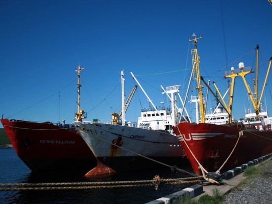 Новые «рыбные» аукционы убьют рыболовный флот