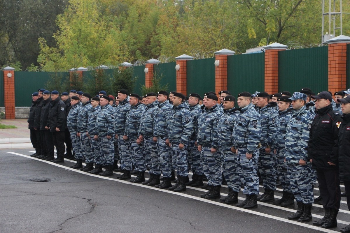Новости Курск омон