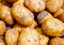 Автономная некоммерческая организация "Российская система качества" (Роскачество) завершило исследование картошки на российском рынке
