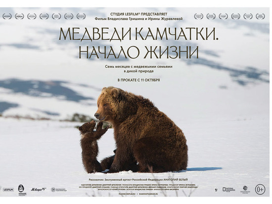 Документальный фильм о медведях Камчатки покажут в Нижнем Новгороде "0+"